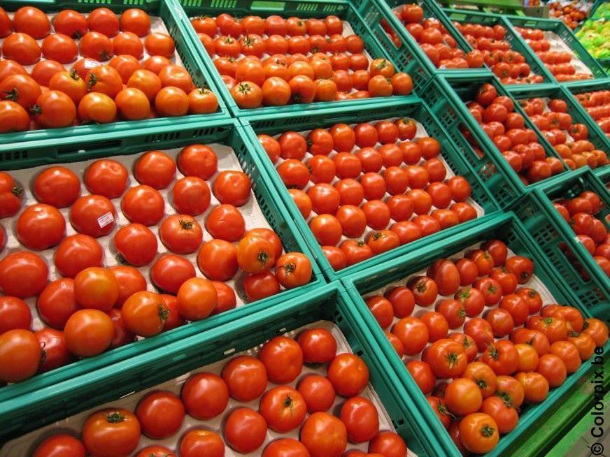 Photo tomatoes
