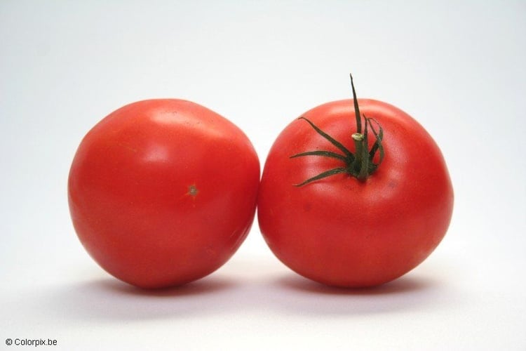 Photo tomatoes