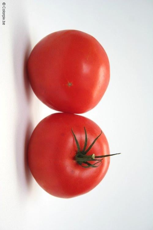 tomatoes