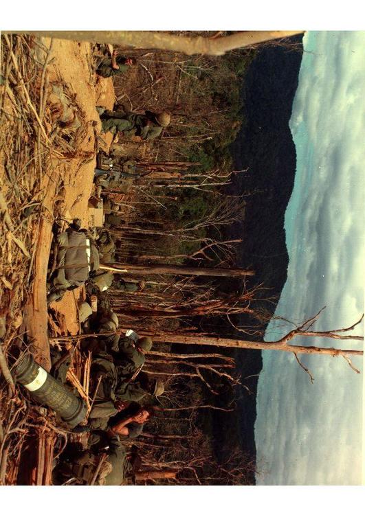 Vietnam War Hill 530