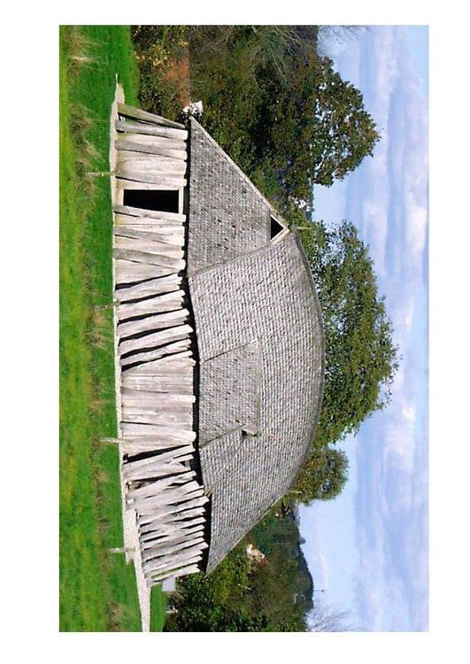 viking house