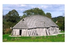 Photos viking house