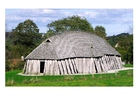 Photo viking house