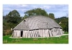 Viking house