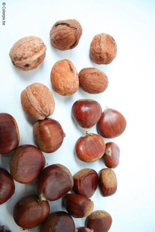 walnuts and chesnuts