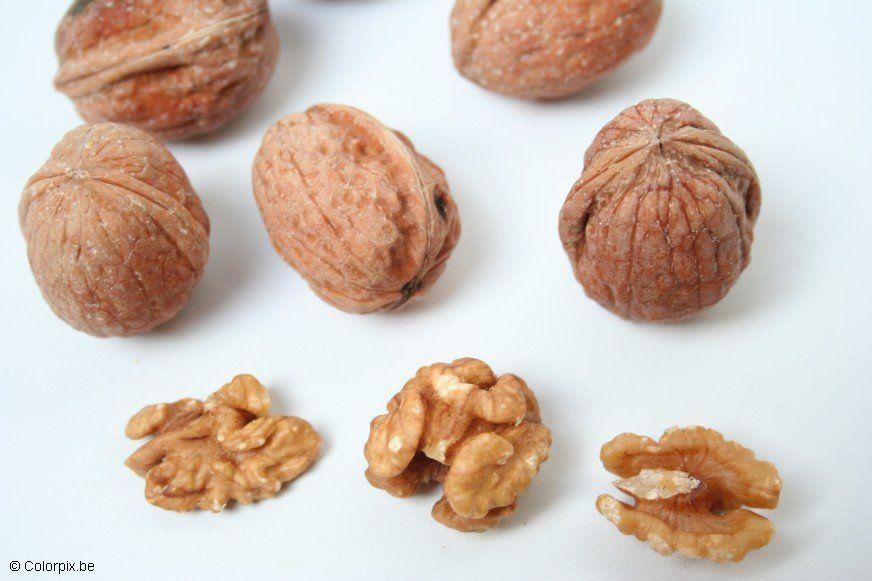 Photo walnuts
