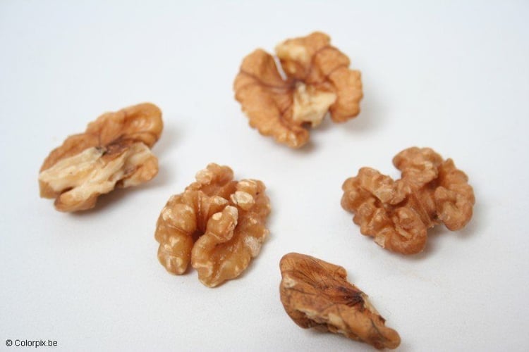 Photo walnuts