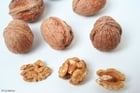 Photos walnuts