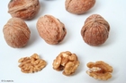 walnuts