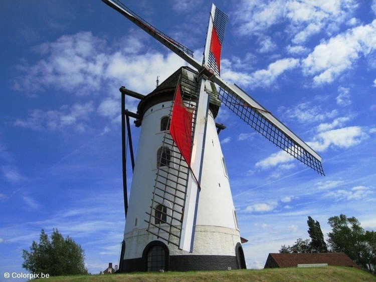 Photo wind mill 2