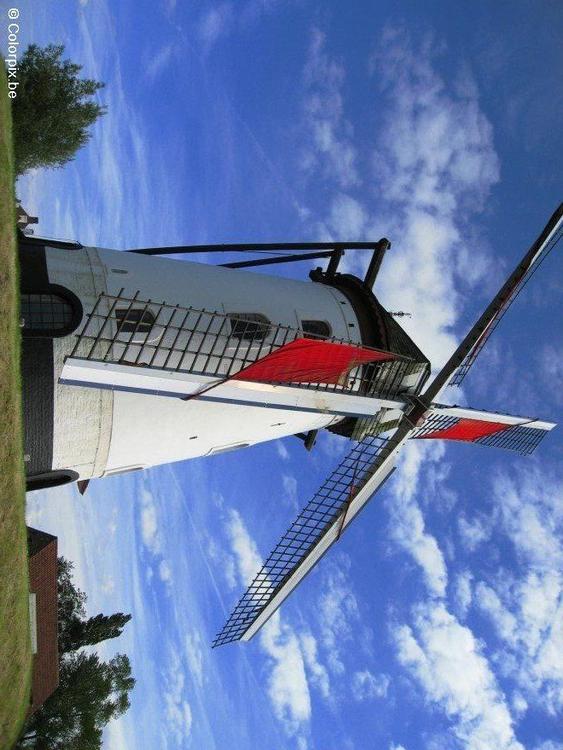 wind mill 2