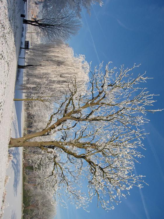 winter 5