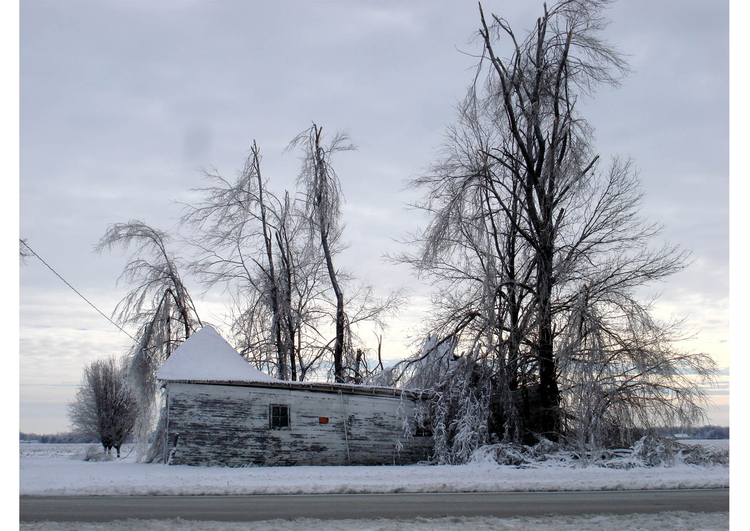 Photo winter