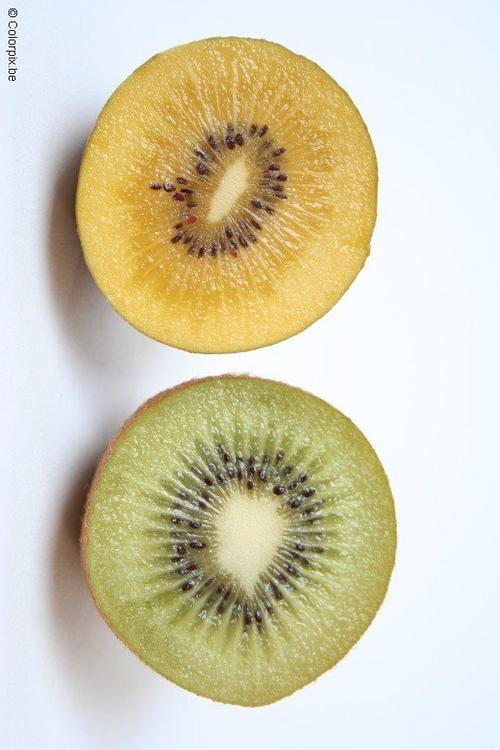 yellow and green kiwi