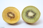 Photos yellow and green kiwi