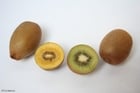 yellow and green kiwi