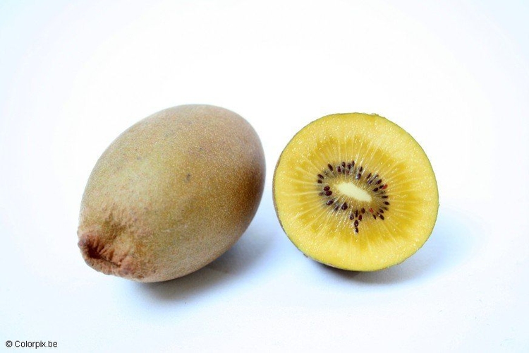 Photo yellow kiwi