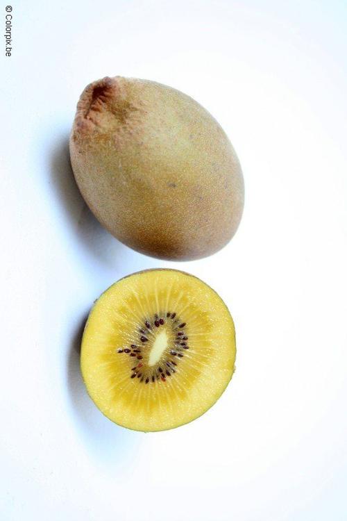 yellow kiwi