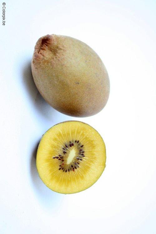 yellow kiwi